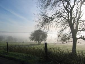 frosty country view