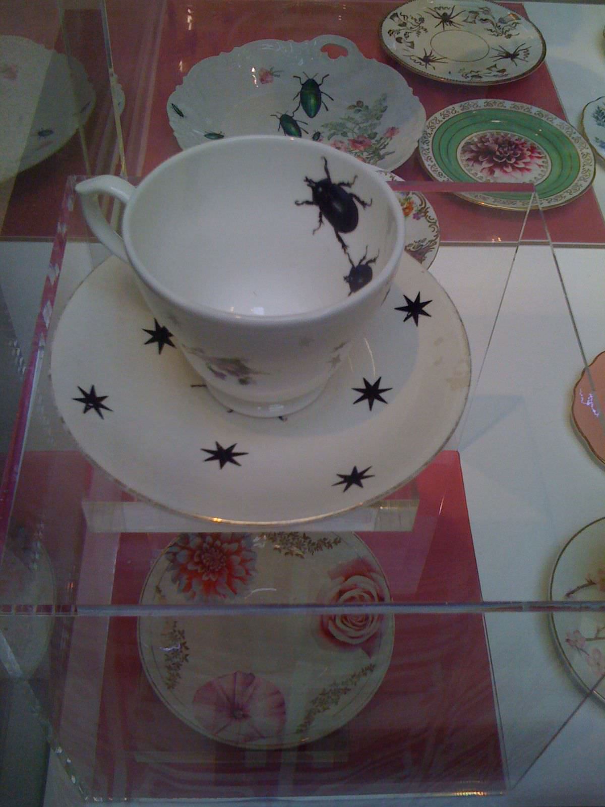 tea cups with bugs
