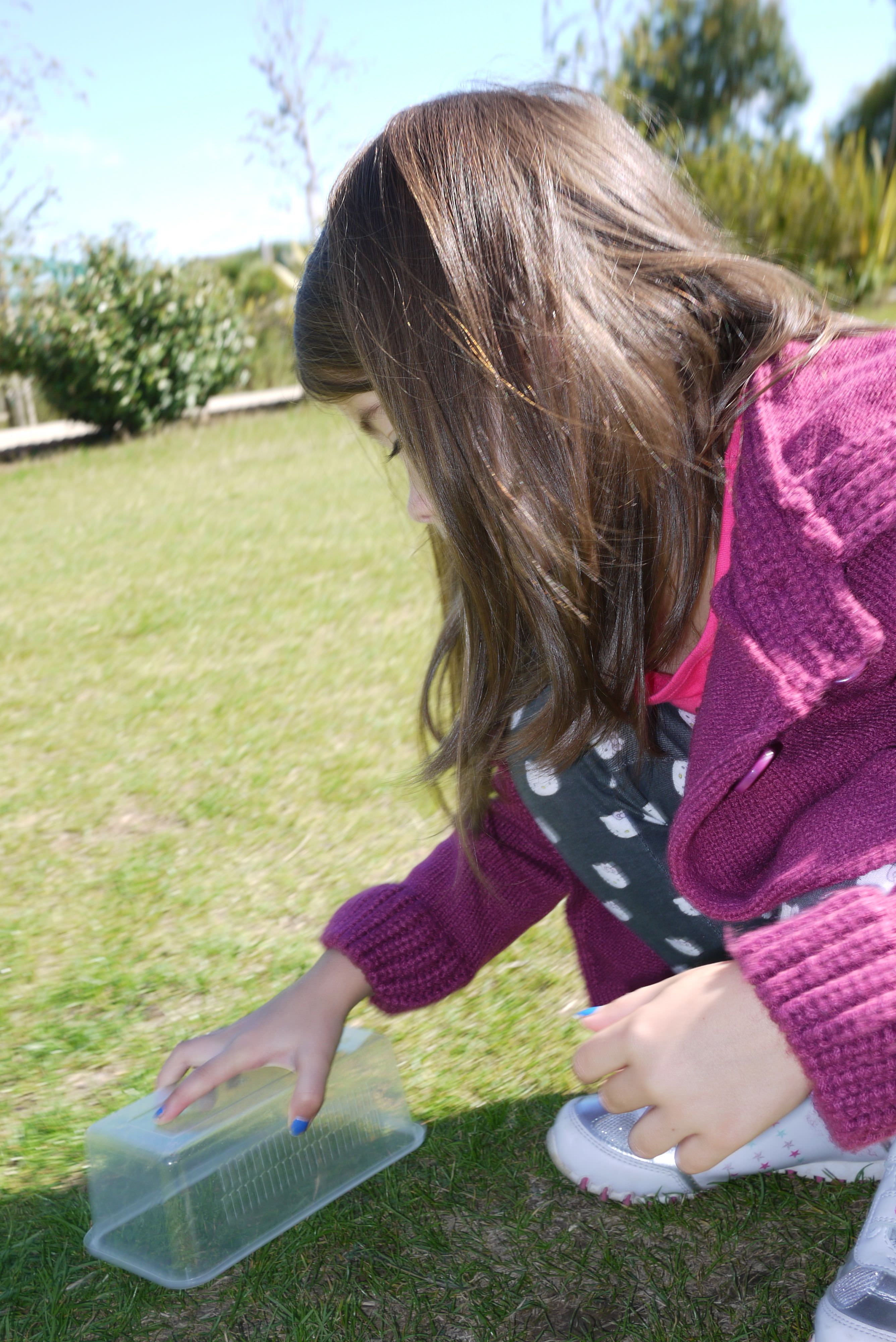 Isle of Wight Zoo hunting insects