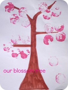 cork blossom tree