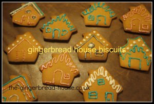 iced gingerbread biscuits