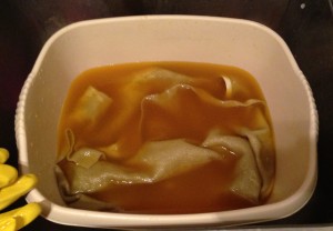 dyeing cashmere