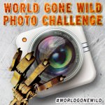 World Gone Wild Photo Challenge