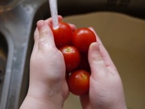 washing tomatoes