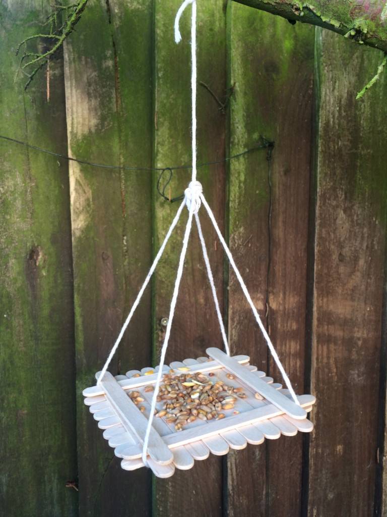 DIY Bird feeder