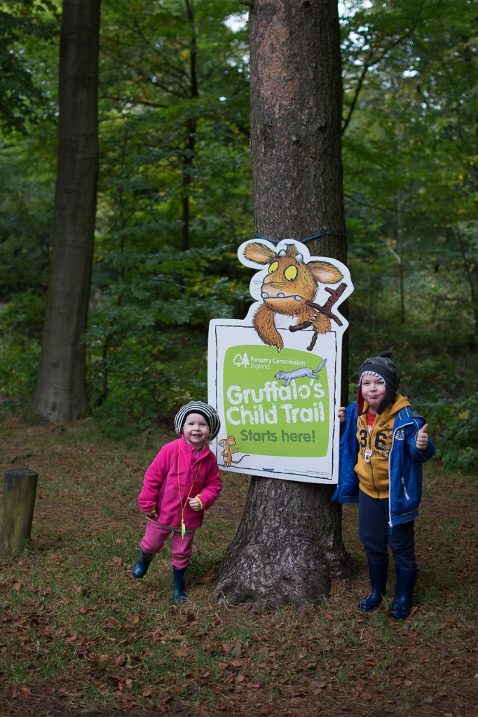 Gruffalo Child's Trail - the gingerbread house