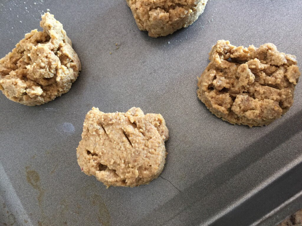 Hill's pet food cat cookies