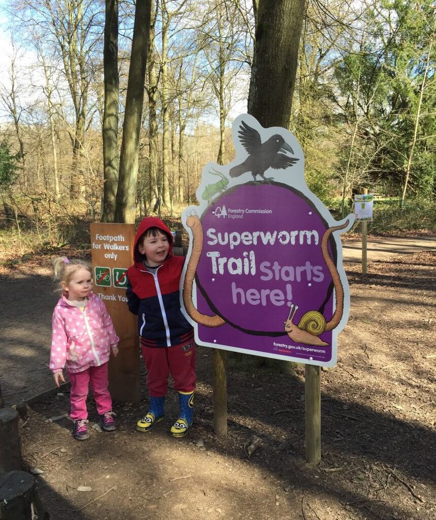 Superworm Trail at Wendover Woods
