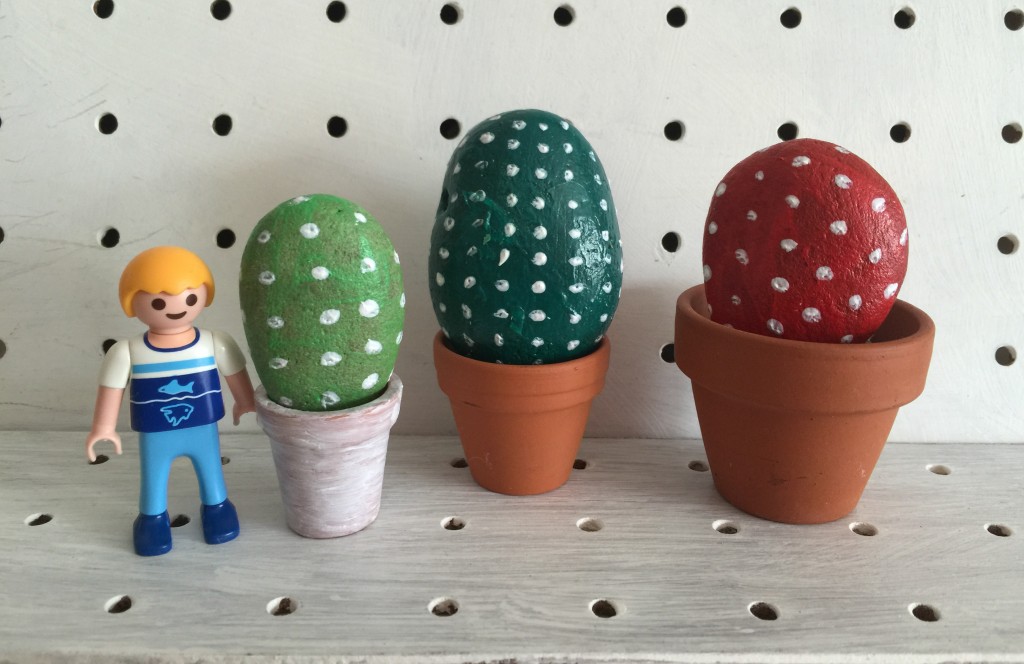pebble cactus plants