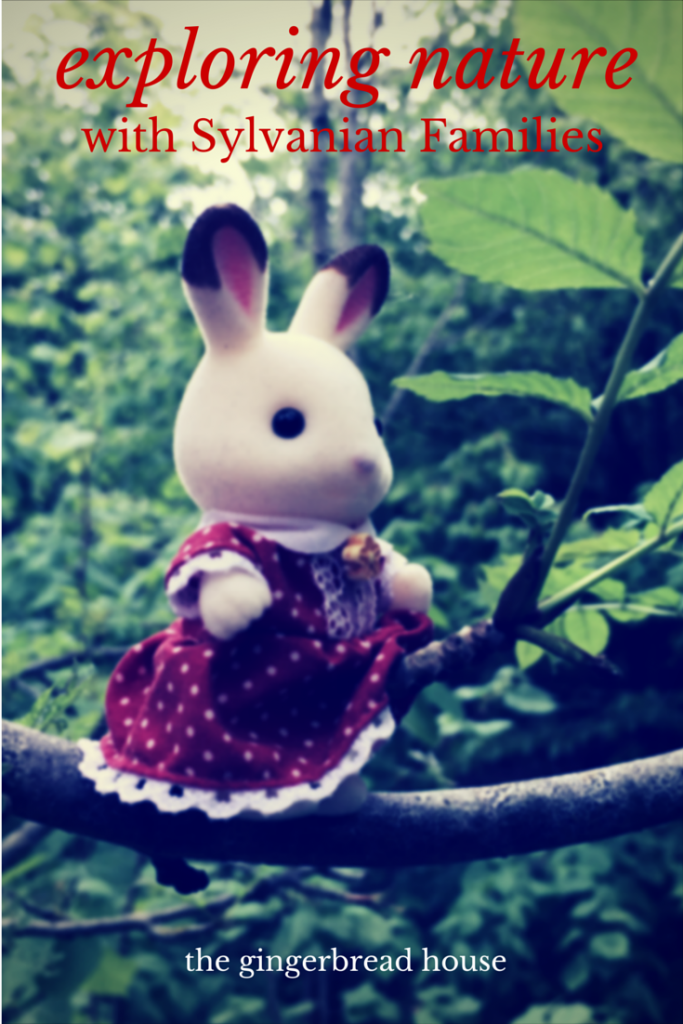exploring nature with Sylvanian Families - the gingerbread house