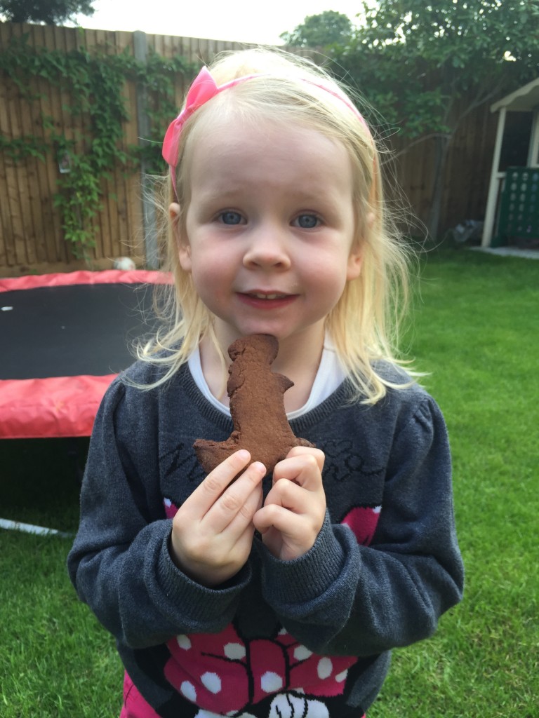 Topsy and Tim biscuits