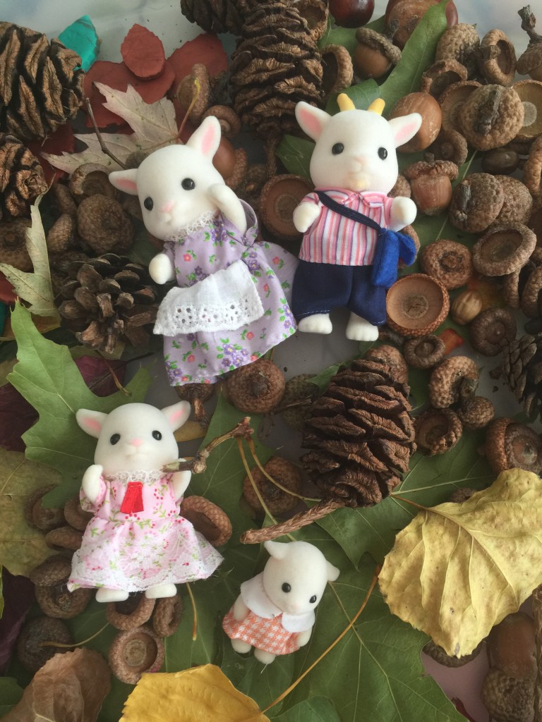 Sylvanian Families in nature