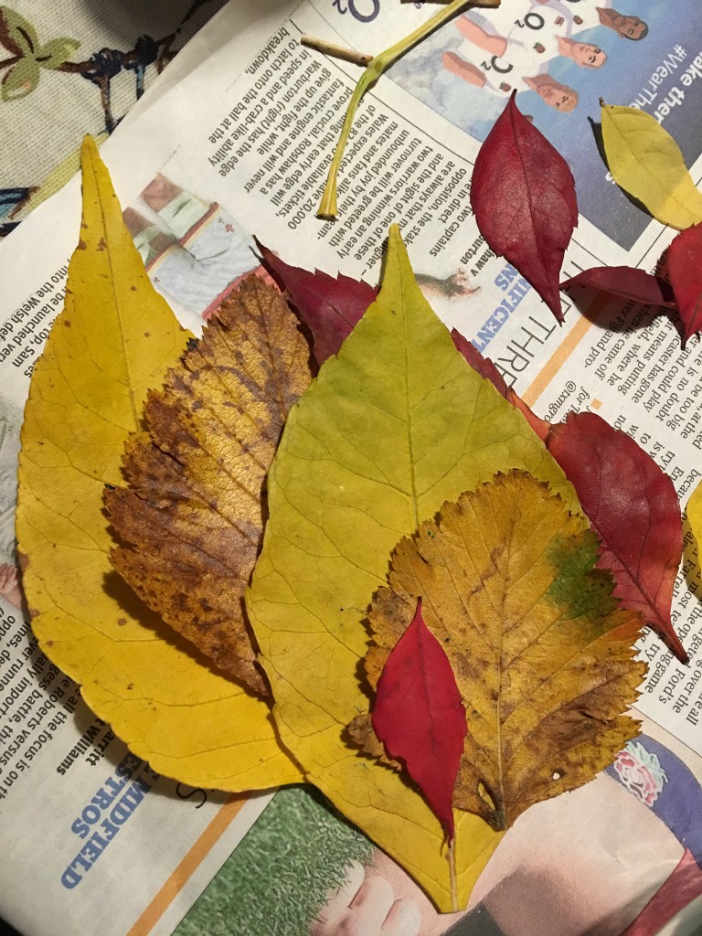 DIY Autumn leaves luminary