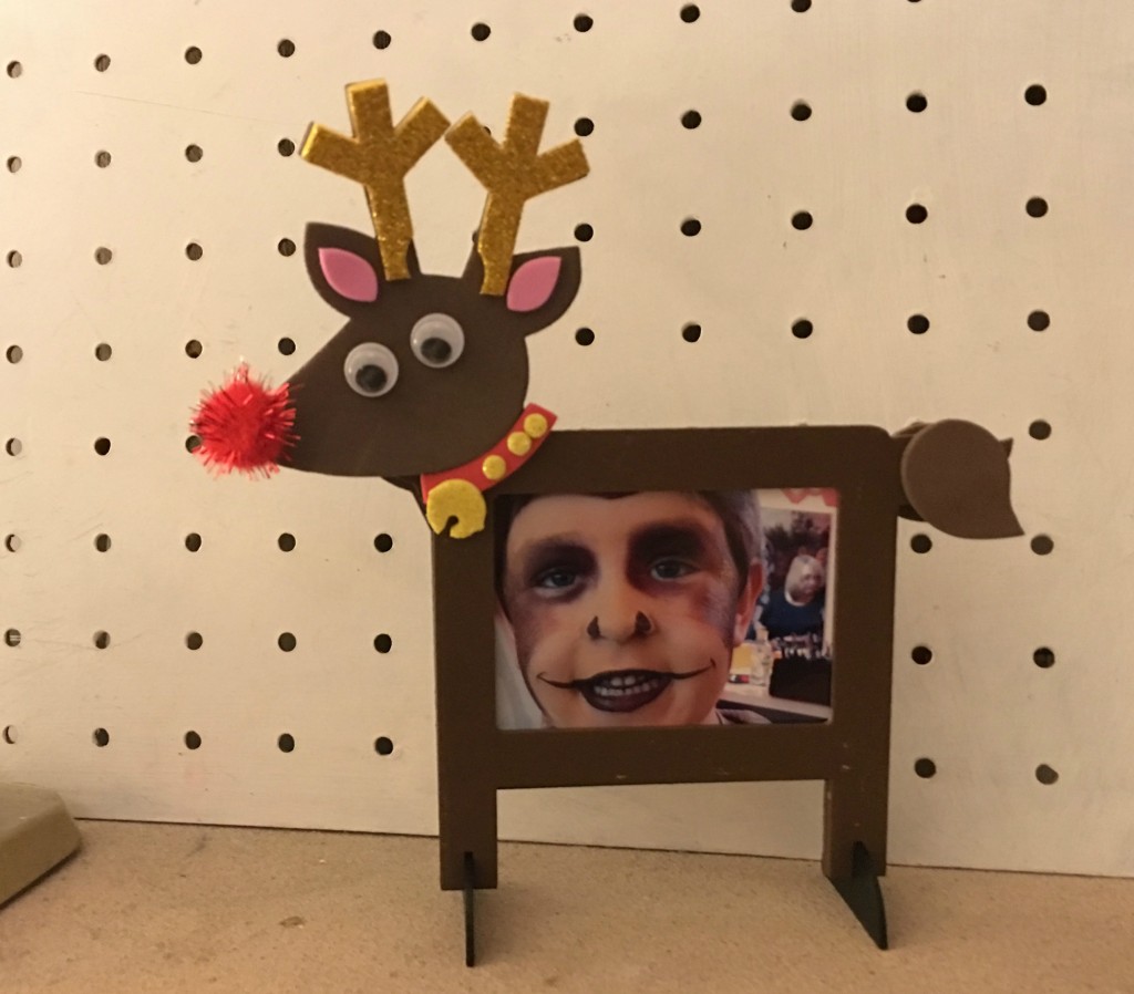 Funky Reindeer Wooden Photo Frame Kits