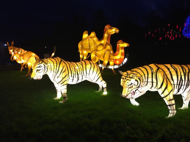 display at Longleat Festival of Lights