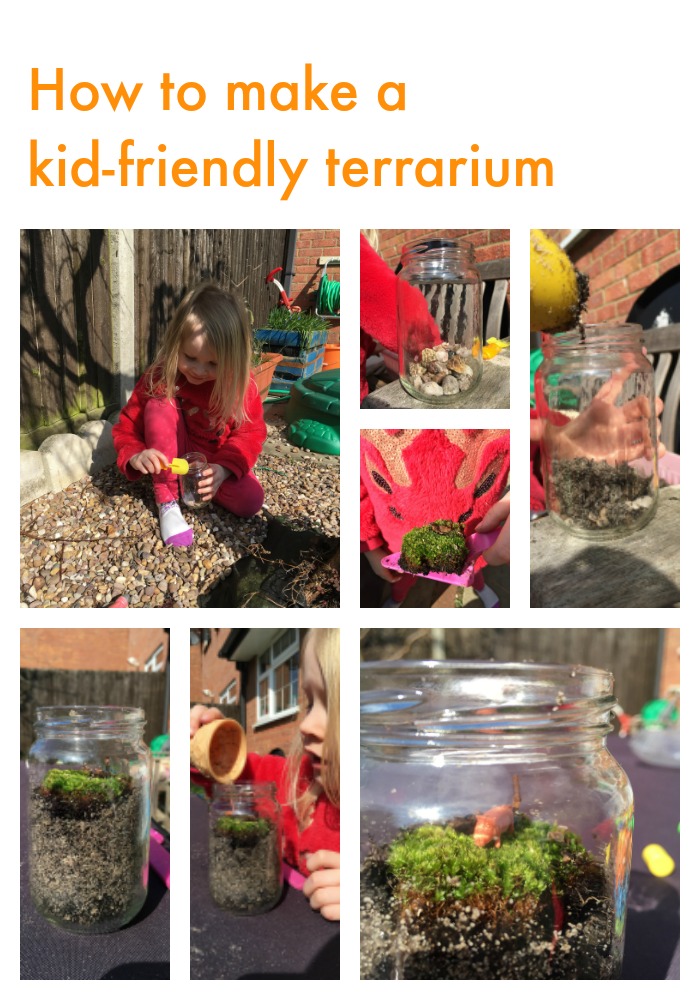 viusual guide on how to make a kid-friendly terrarium