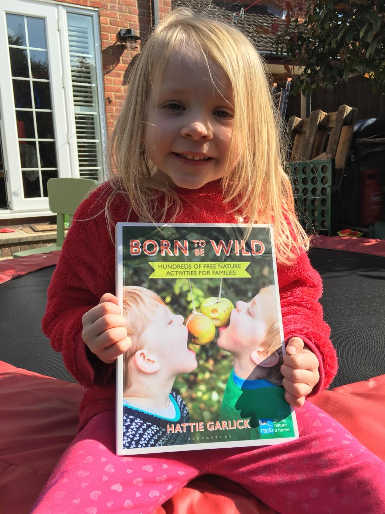 Born to Be Wild book cover