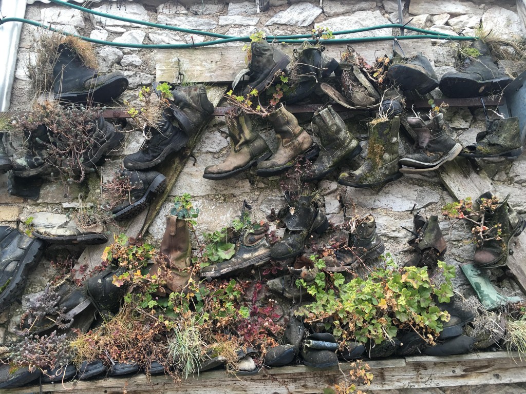 old boots used as planters