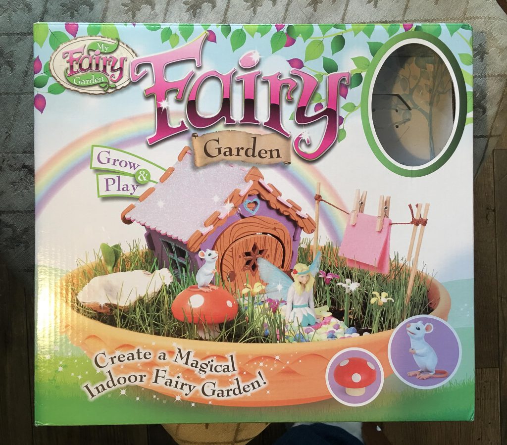 grow a fairy garden kit