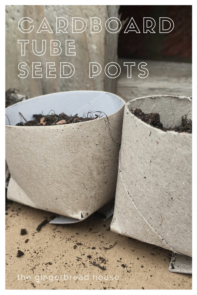cardboard tube seed pots